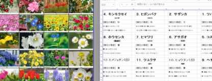 【中学受験部】入試によく出る『季節の花の名前』は